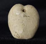 Heteraster oblongus (BRONGNIART 1821) - Bild &copy; FossNet FossilienStore